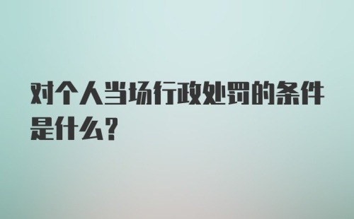 对个人当场行政处罚的条件是什么？