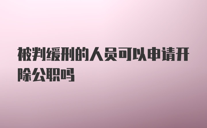 被判缓刑的人员可以申请开除公职吗