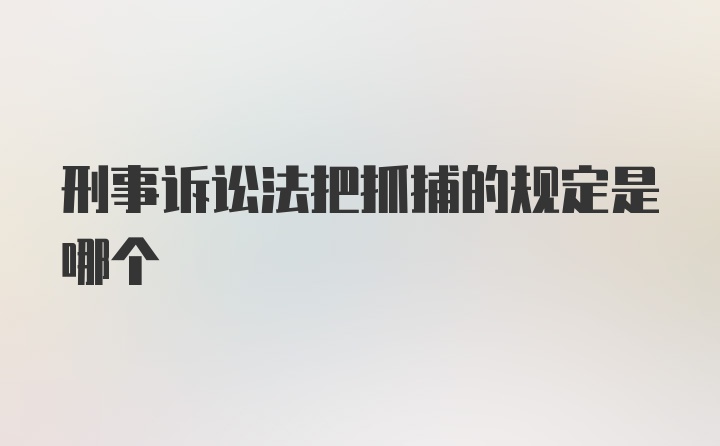 刑事诉讼法把抓捕的规定是哪个