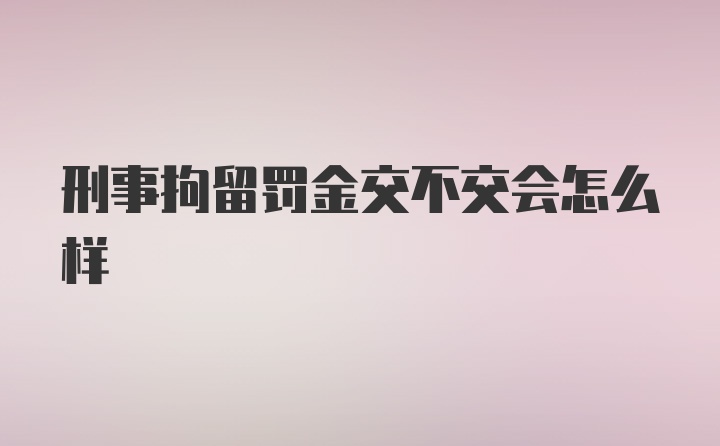 刑事拘留罚金交不交会怎么样