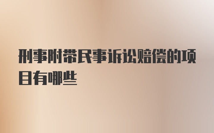 刑事附带民事诉讼赔偿的项目有哪些