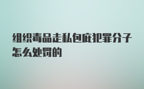 组织毒品走私包庇犯罪分子怎么处罚的