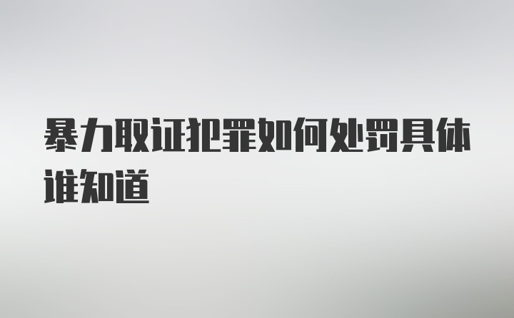 暴力取证犯罪如何处罚具体谁知道