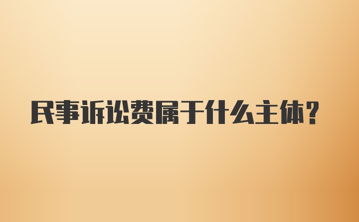 民事诉讼费属于什么主体？