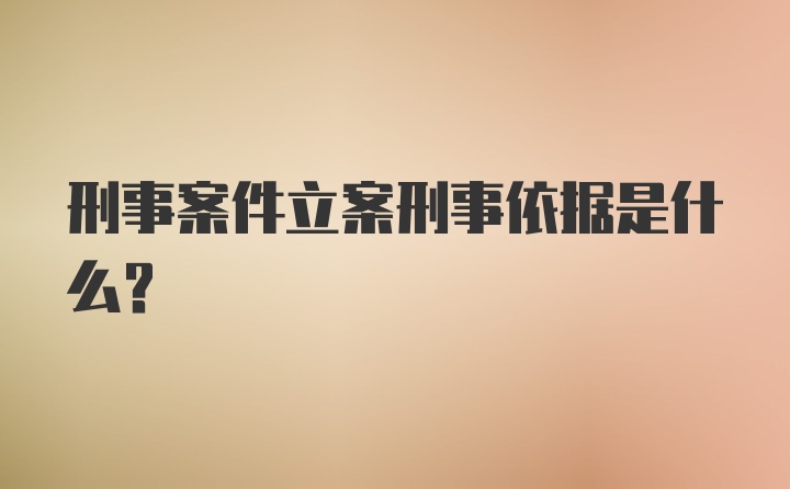 刑事案件立案刑事依据是什么？