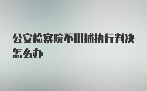 公安检察院不批捕执行判决怎么办