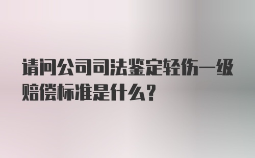 请问公司司法鉴定轻伤一级赔偿标准是什么?