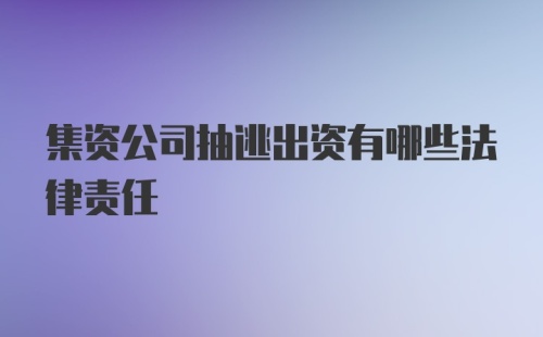 集资公司抽逃出资有哪些法律责任