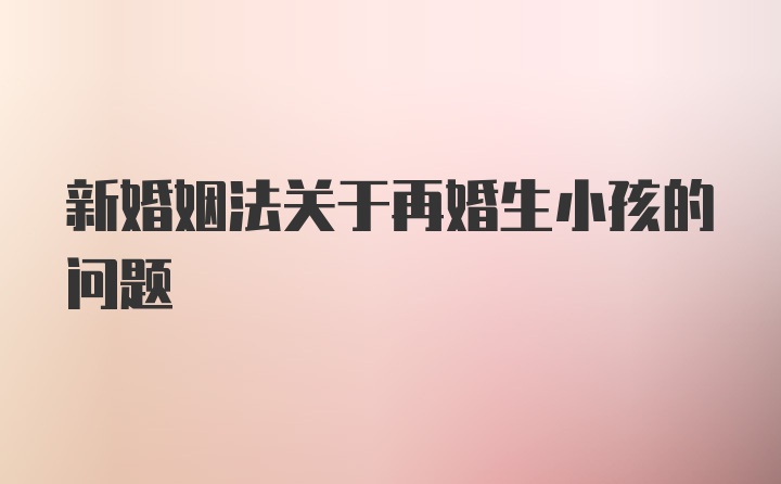 新婚姻法关于再婚生小孩的问题