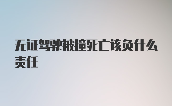 无证驾驶被撞死亡该负什么责任