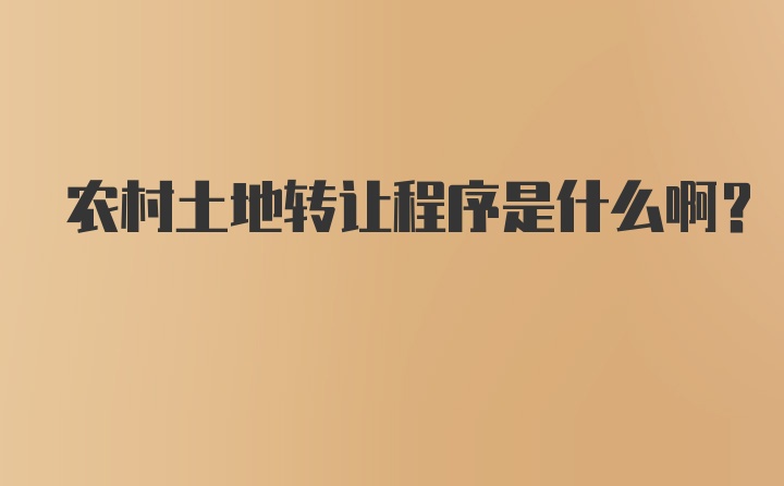 农村土地转让程序是什么啊？