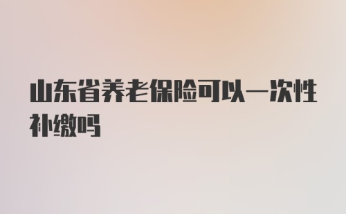 山东省养老保险可以一次性补缴吗