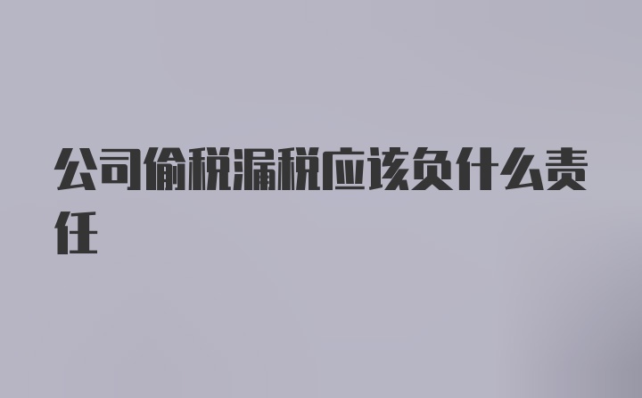 公司偷税漏税应该负什么责任