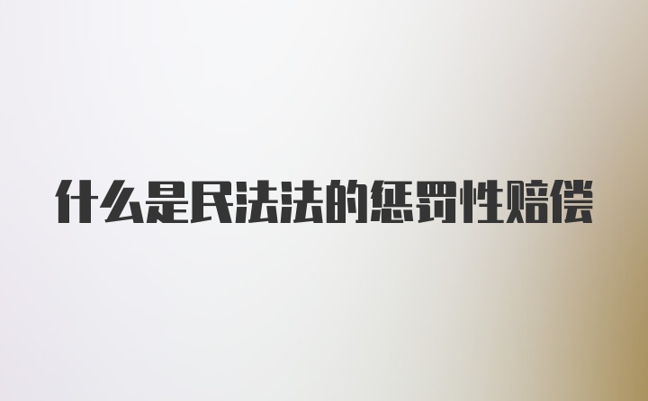 什么是民法法的惩罚性赔偿