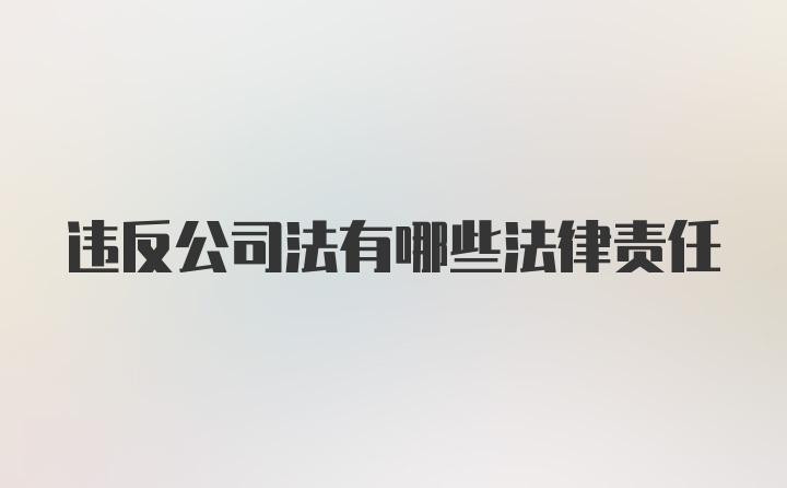 违反公司法有哪些法律责任