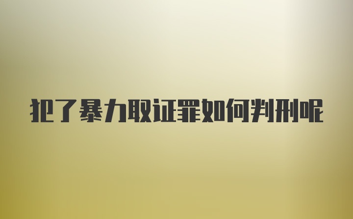 犯了暴力取证罪如何判刑呢