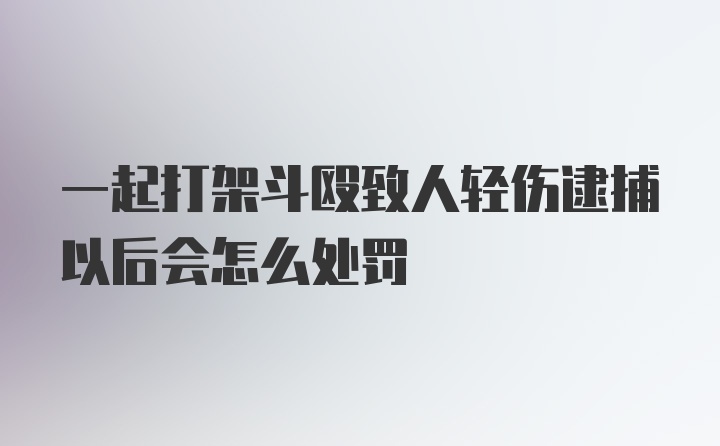 一起打架斗殴致人轻伤逮捕以后会怎么处罚