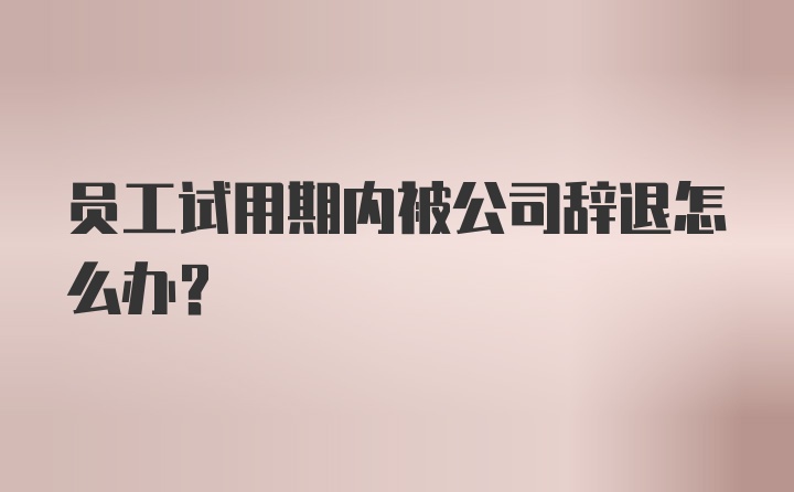 员工试用期内被公司辞退怎么办?