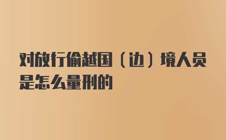 对放行偷越国（边）境人员是怎么量刑的