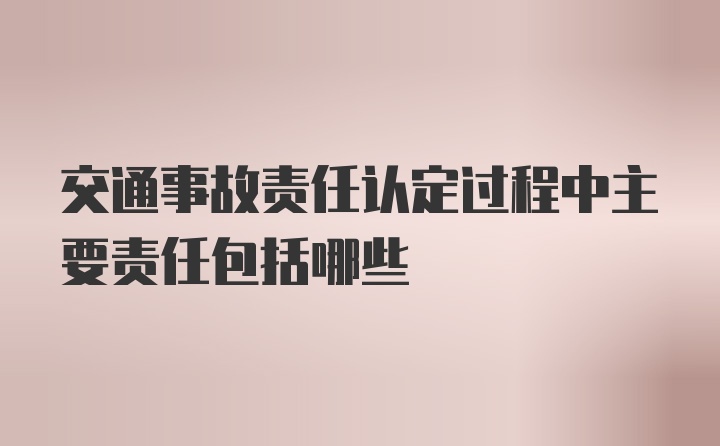 交通事故责任认定过程中主要责任包括哪些