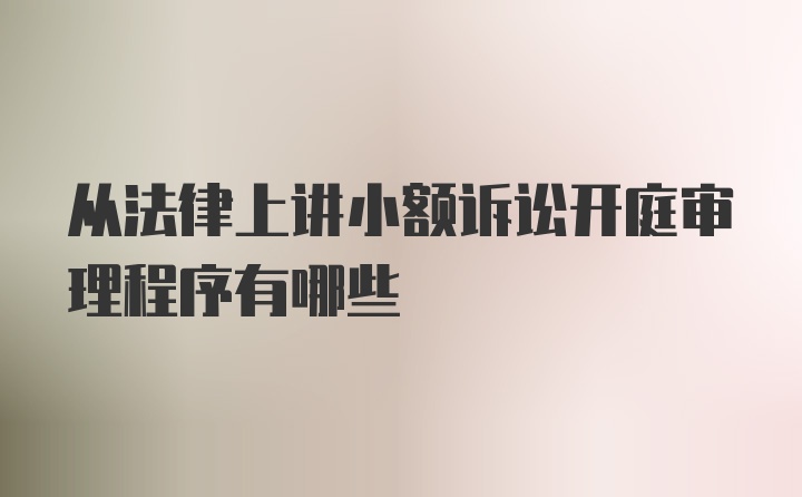 从法律上讲小额诉讼开庭审理程序有哪些