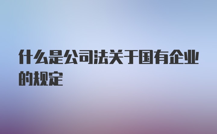 什么是公司法关于国有企业的规定