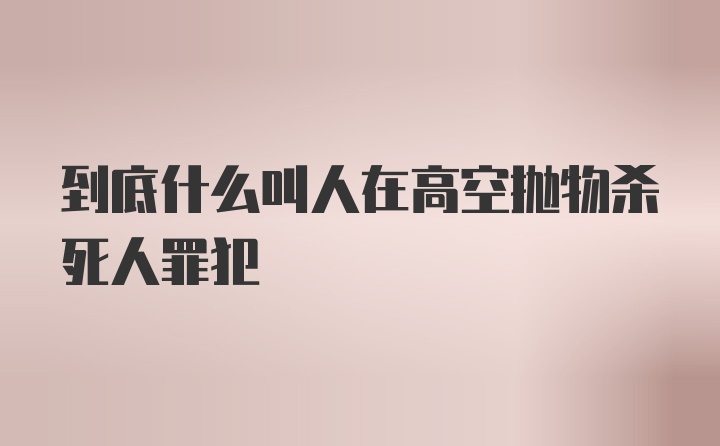 到底什么叫人在高空抛物杀死人罪犯