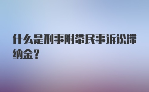 什么是刑事附带民事诉讼滞纳金？