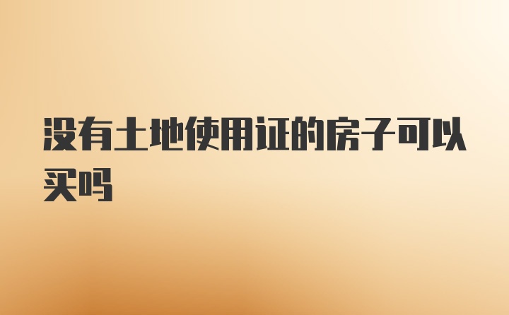 没有土地使用证的房子可以买吗