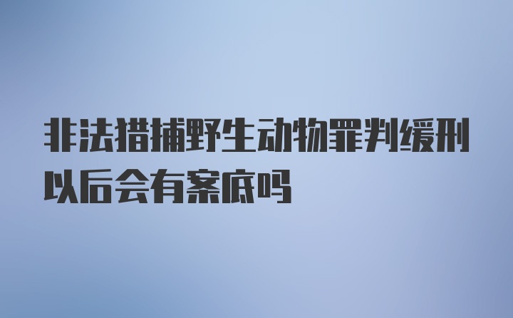 非法猎捕野生动物罪判缓刑以后会有案底吗