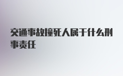 交通事故撞死人属于什么刑事责任