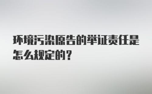 环境污染原告的举证责任是怎么规定的？