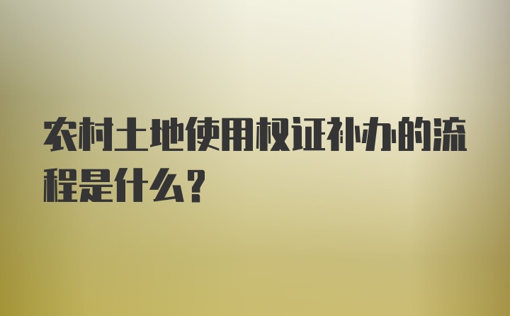 农村土地使用权证补办的流程是什么？