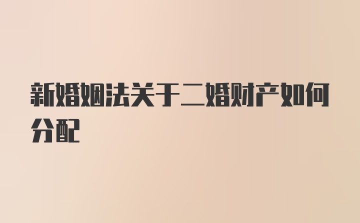 新婚姻法关于二婚财产如何分配