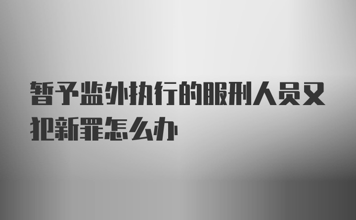 暂予监外执行的服刑人员又犯新罪怎么办