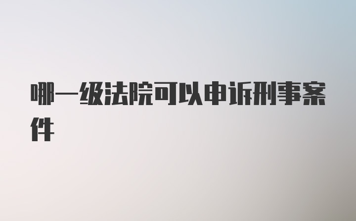 哪一级法院可以申诉刑事案件