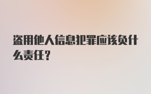 盗用他人信息犯罪应该负什么责任？