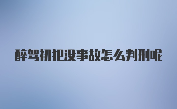 醉驾初犯没事故怎么判刑呢