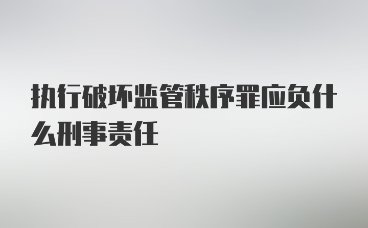 执行破坏监管秩序罪应负什么刑事责任