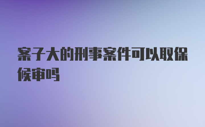 案子大的刑事案件可以取保候审吗