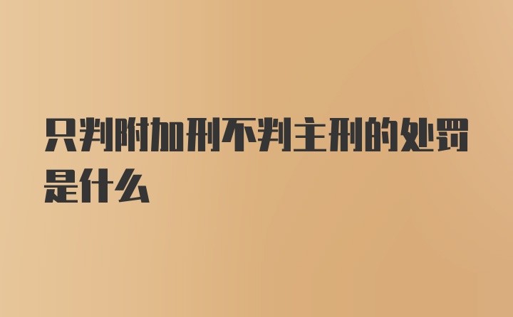 只判附加刑不判主刑的处罚是什么