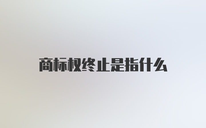 商标权终止是指什么