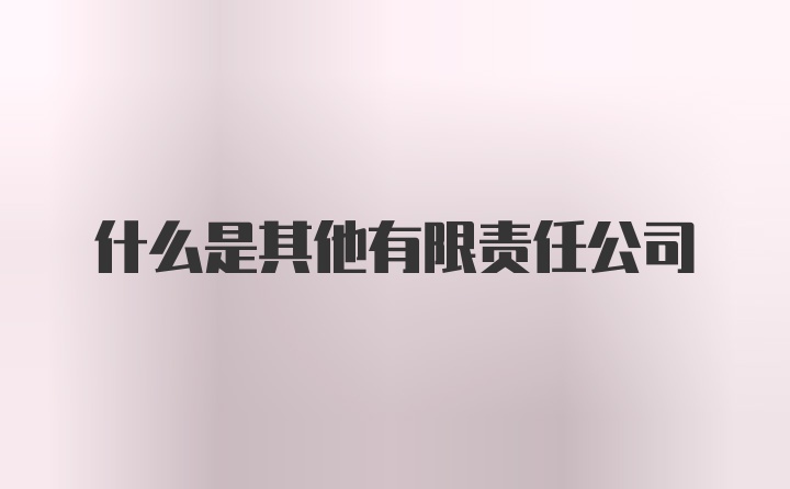 什么是其他有限责任公司