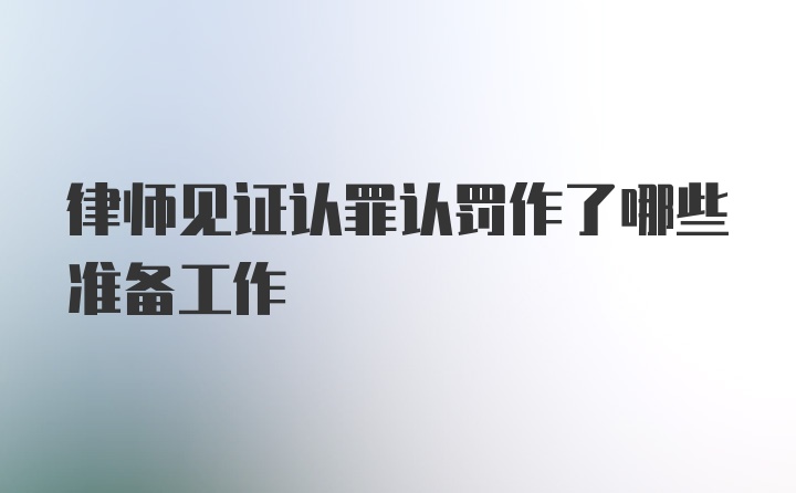 律师见证认罪认罚作了哪些准备工作