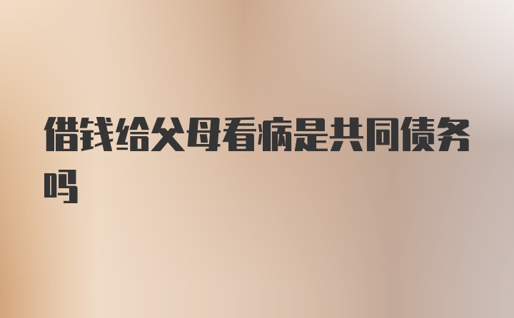 借钱给父母看病是共同债务吗