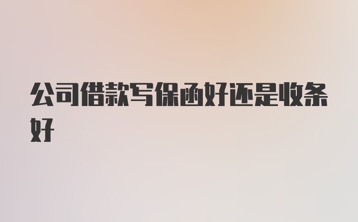 公司借款写保函好还是收条好