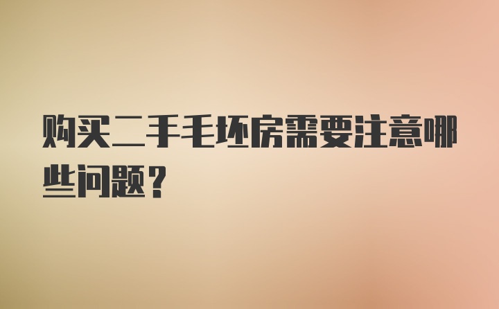 购买二手毛坯房需要注意哪些问题？