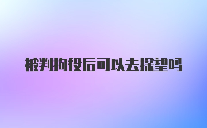 被判拘役后可以去探望吗