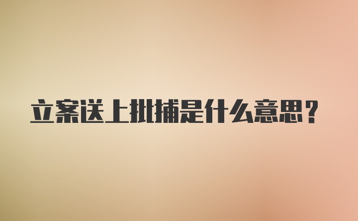 立案送上批捕是什么意思?