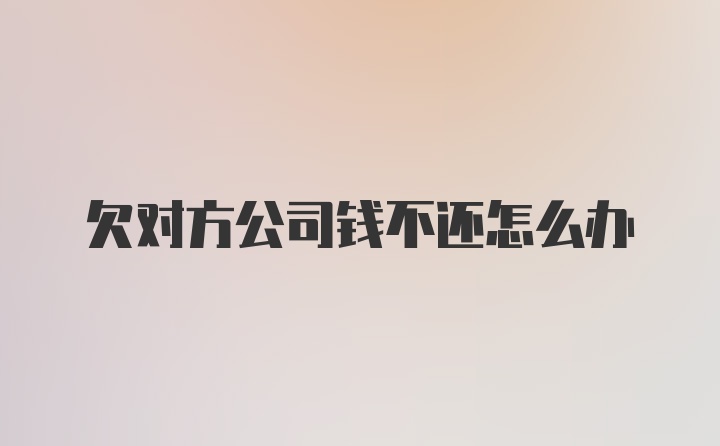 欠对方公司钱不还怎么办